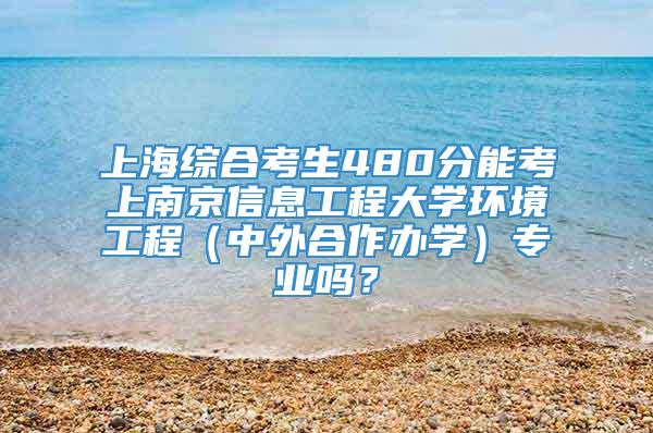 上海综合考生480分能考上南京信息工程大学环境工程（中外合作办学）专业吗？