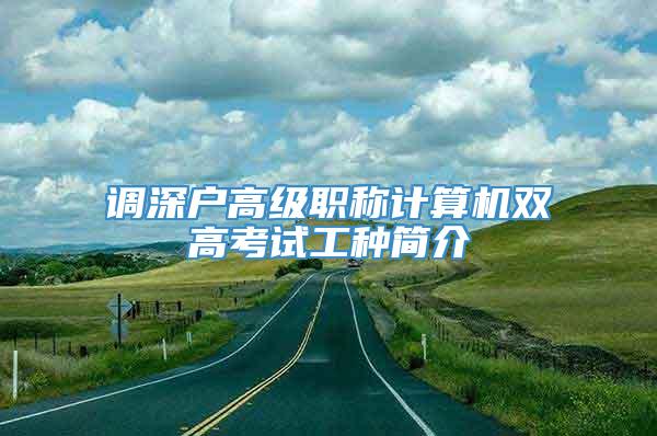 调深户高级职称计算机双高考试工种简介