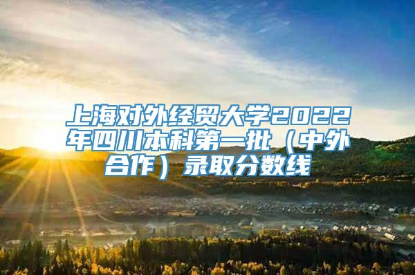 上海对外经贸大学2022年四川本科第一批（中外合作）录取分数线