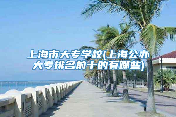 上海市大专学校(上海公办大专排名前十的有哪些)