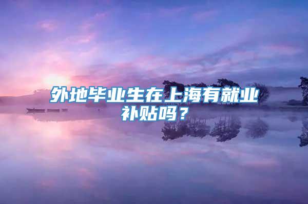 外地毕业生在上海有就业补贴吗？