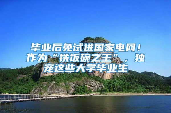 毕业后免试进国家电网！作为“铁饭碗之王”，独宠这些大学毕业生