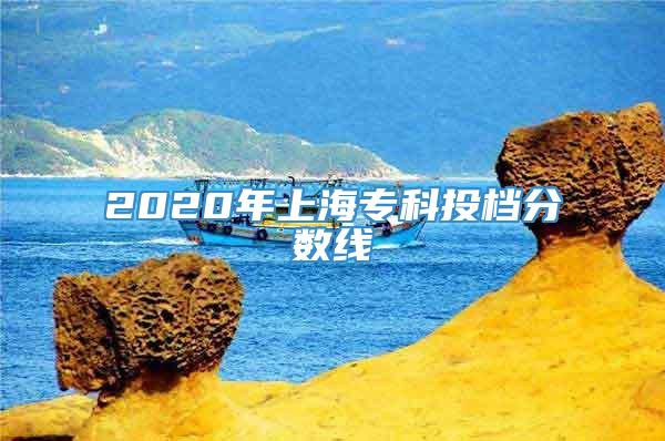 2020年上海专科投档分数线