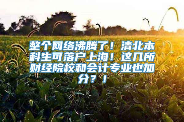 整个网络沸腾了！清北本科生可落户上海！这几所财经院校和会计专业也加分？！