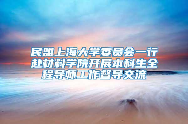 民盟上海大学委员会一行赴材料学院开展本科生全程导师工作督导交流