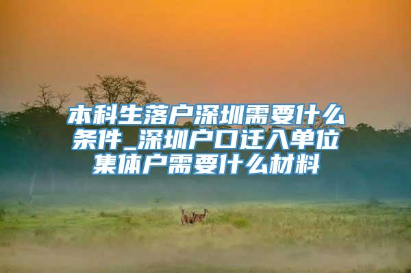 本科生落户深圳需要什么条件_深圳户口迁入单位集体户需要什么材料