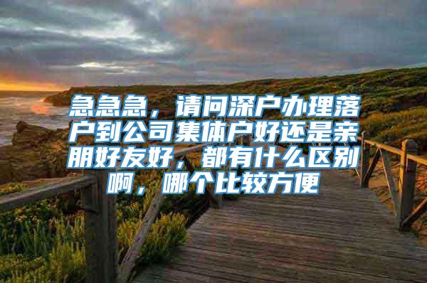 急急急，请问深户办理落户到公司集体户好还是亲朋好友好，都有什么区别啊，哪个比较方便