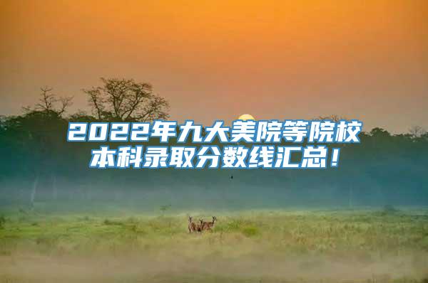 2022年九大美院等院校本科录取分数线汇总！