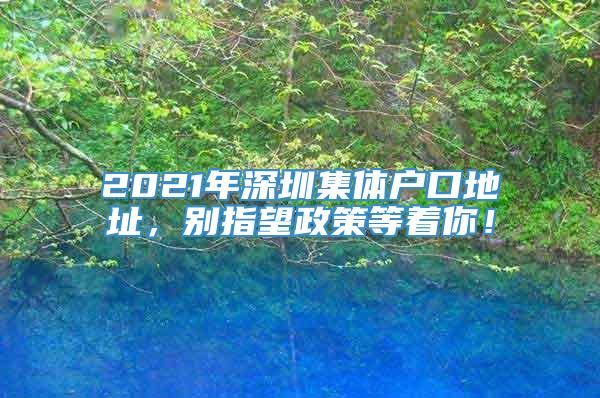 2021年深圳集体户口地址，别指望政策等着你！