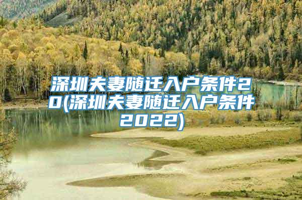 深圳夫妻随迁入户条件20(深圳夫妻随迁入户条件2022)