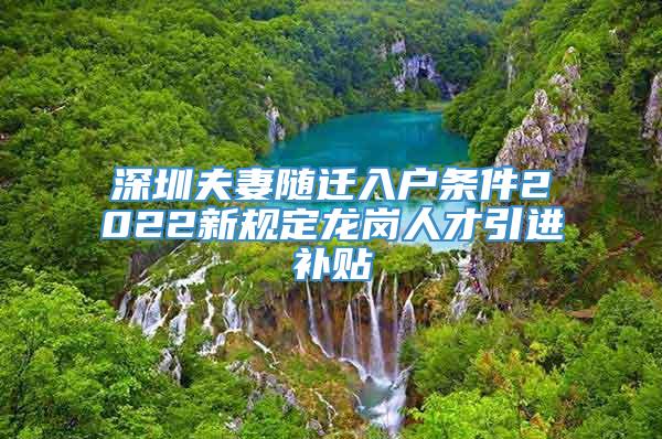 深圳夫妻随迁入户条件2022新规定龙岗人才引进补贴