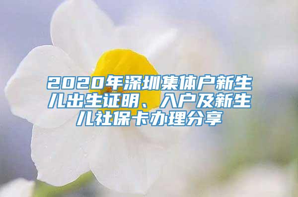 2020年深圳集体户新生儿出生证明、入户及新生儿社保卡办理分享