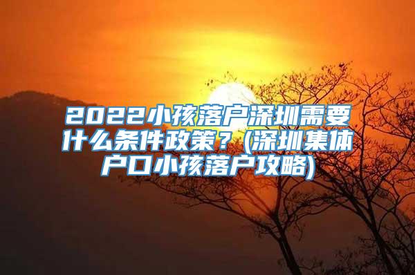 2022小孩落户深圳需要什么条件政策？(深圳集体户口小孩落户攻略)