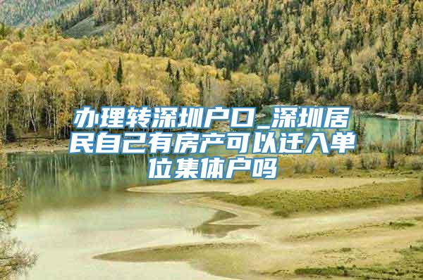 办理转深圳户口_深圳居民自己有房产可以迁入单位集体户吗