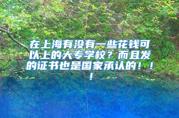 在上海有没有一些花钱可以上的大专学校？而且发的证书也是国家承认的！！！