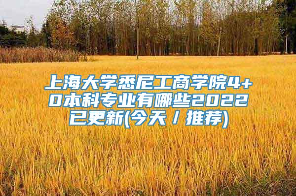 上海大学悉尼工商学院4+0本科专业有哪些2022已更新(今天／推荐)