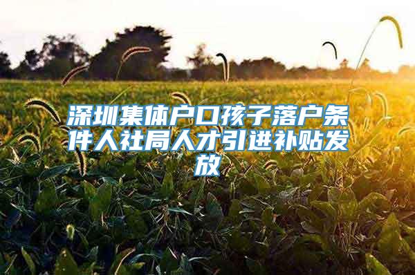 深圳集体户口孩子落户条件人社局人才引进补贴发放