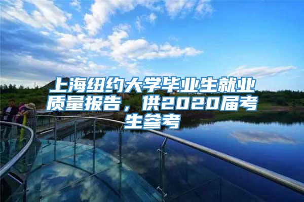 上海纽约大学毕业生就业质量报告，供2020届考生参考