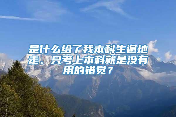 是什么给了我本科生遍地走、只考上本科就是没有用的错觉？