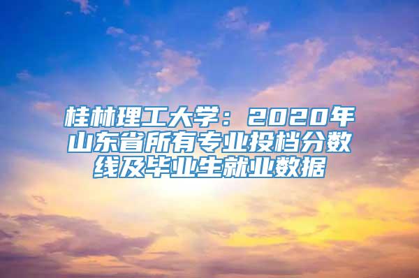 桂林理工大学：2020年山东省所有专业投档分数线及毕业生就业数据