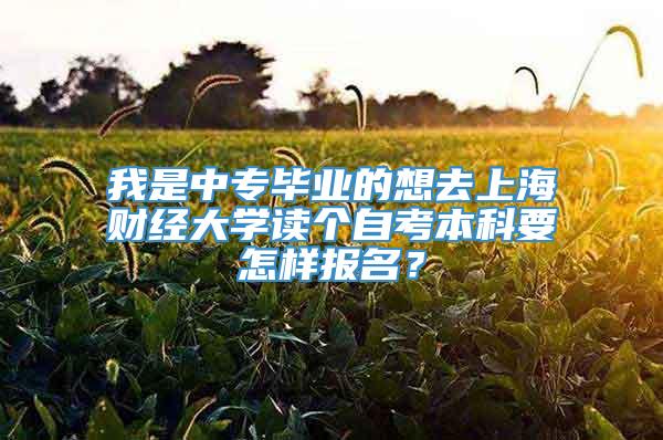 我是中专毕业的想去上海财经大学读个自考本科要怎样报名？