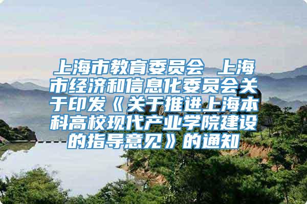 上海市教育委员会 上海市经济和信息化委员会关于印发《关于推进上海本科高校现代产业学院建设的指导意见》的通知