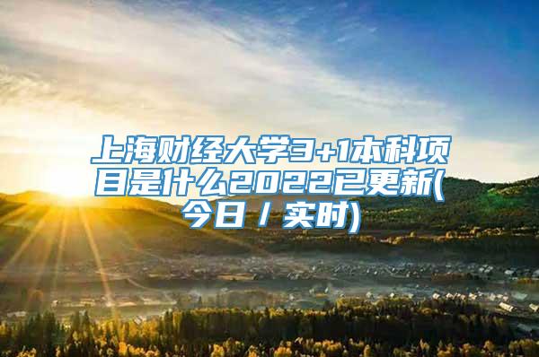 上海财经大学3+1本科项目是什么2022已更新(今日／实时)