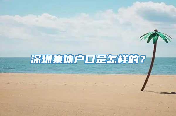 深圳集体户口是怎样的？