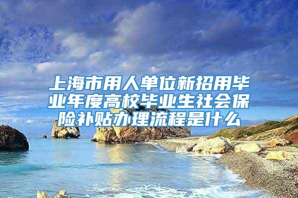 上海市用人单位新招用毕业年度高校毕业生社会保险补贴办理流程是什么