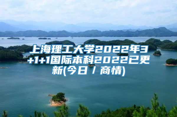 上海理工大学2022年3+1+1国际本科2022已更新(今日／商情)