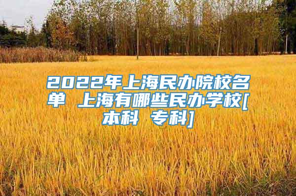 2022年上海民办院校名单 上海有哪些民办学校[本科 专科]