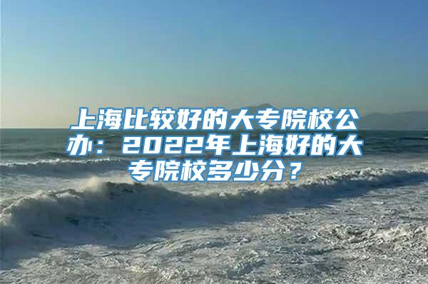 上海比较好的大专院校公办：2022年上海好的大专院校多少分？