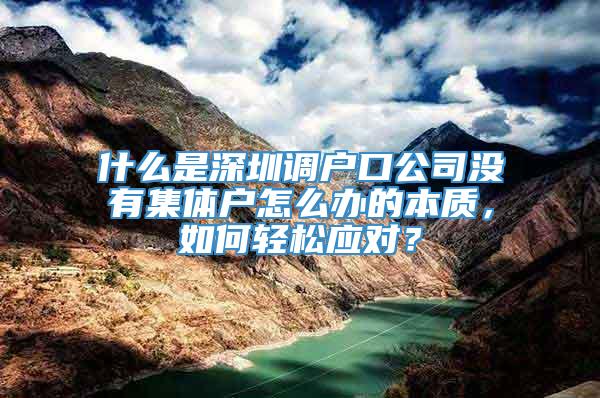 什么是深圳调户口公司没有集体户怎么办的本质，如何轻松应对？