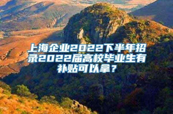 上海企业2022下半年招录2022届高校毕业生有补贴可以拿？