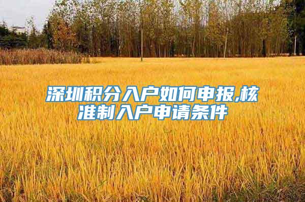 深圳积分入户如何申报,核准制入户申请条件