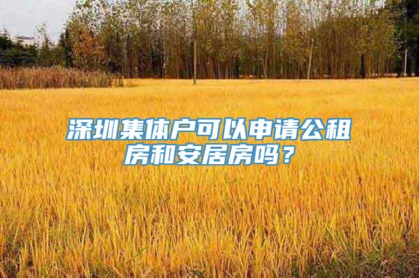 深圳集体户可以申请公租房和安居房吗？