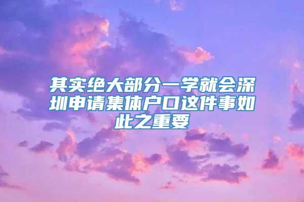 其实绝大部分一学就会深圳申请集体户口这件事如此之重要