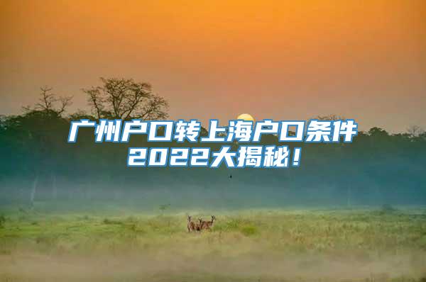 广州户口转上海户口条件2022大揭秘！