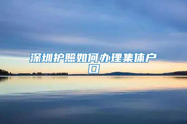 深圳护照如何办理集体户口