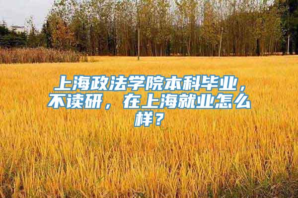 上海政法学院本科毕业，不读研，在上海就业怎么样？