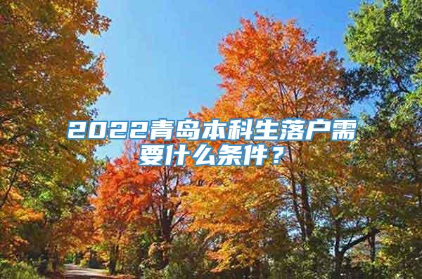 2022青岛本科生落户需要什么条件？