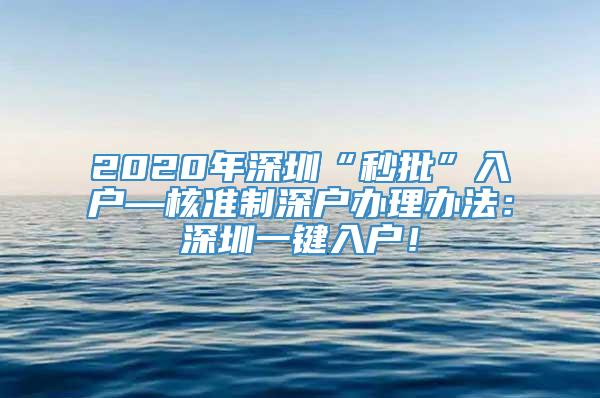 2020年深圳“秒批”入户—核准制深户办理办法：深圳一键入户！