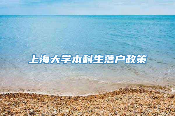 上海大学本科生落户政策