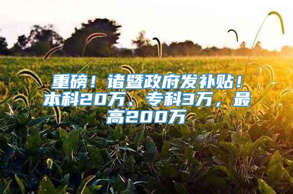 重磅！诸暨政府发补贴！本科20万、专科3万，最高200万