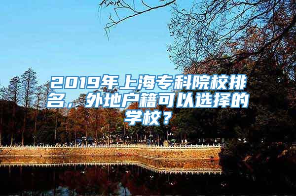 2019年上海专科院校排名，外地户籍可以选择的学校？
