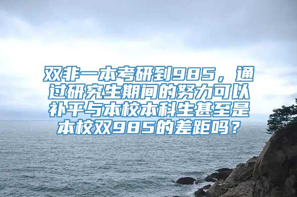 双非一本考研到985，通过研究生期间的努力可以补平与本校本科生甚至是本校双985的差距吗？