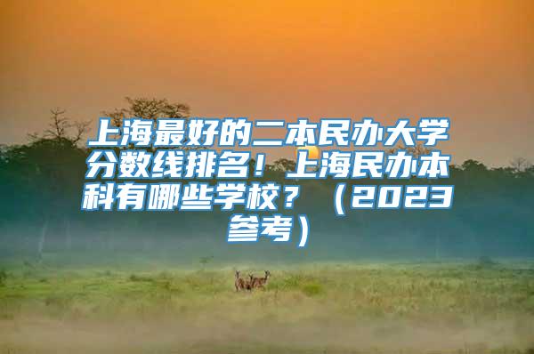 上海最好的二本民办大学分数线排名！上海民办本科有哪些学校？（2023参考）