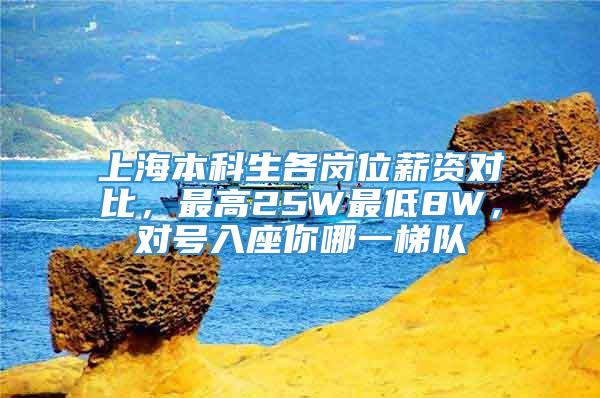 上海本科生各岗位薪资对比，最高25W最低8W，对号入座你哪一梯队