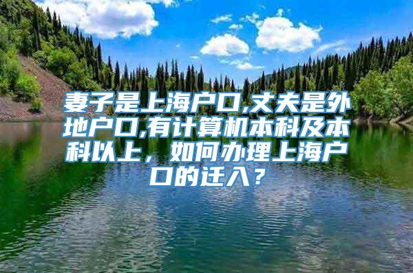 妻子是上海户口,丈夫是外地户口,有计算机本科及本科以上，如何办理上海户口的迁入？