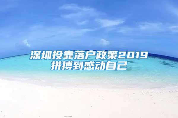 深圳投靠落户政策2019拼搏到感动自己